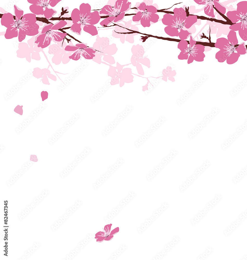 Branches with pink flowers isolated on white background Branches with pink flowers isolated on white background