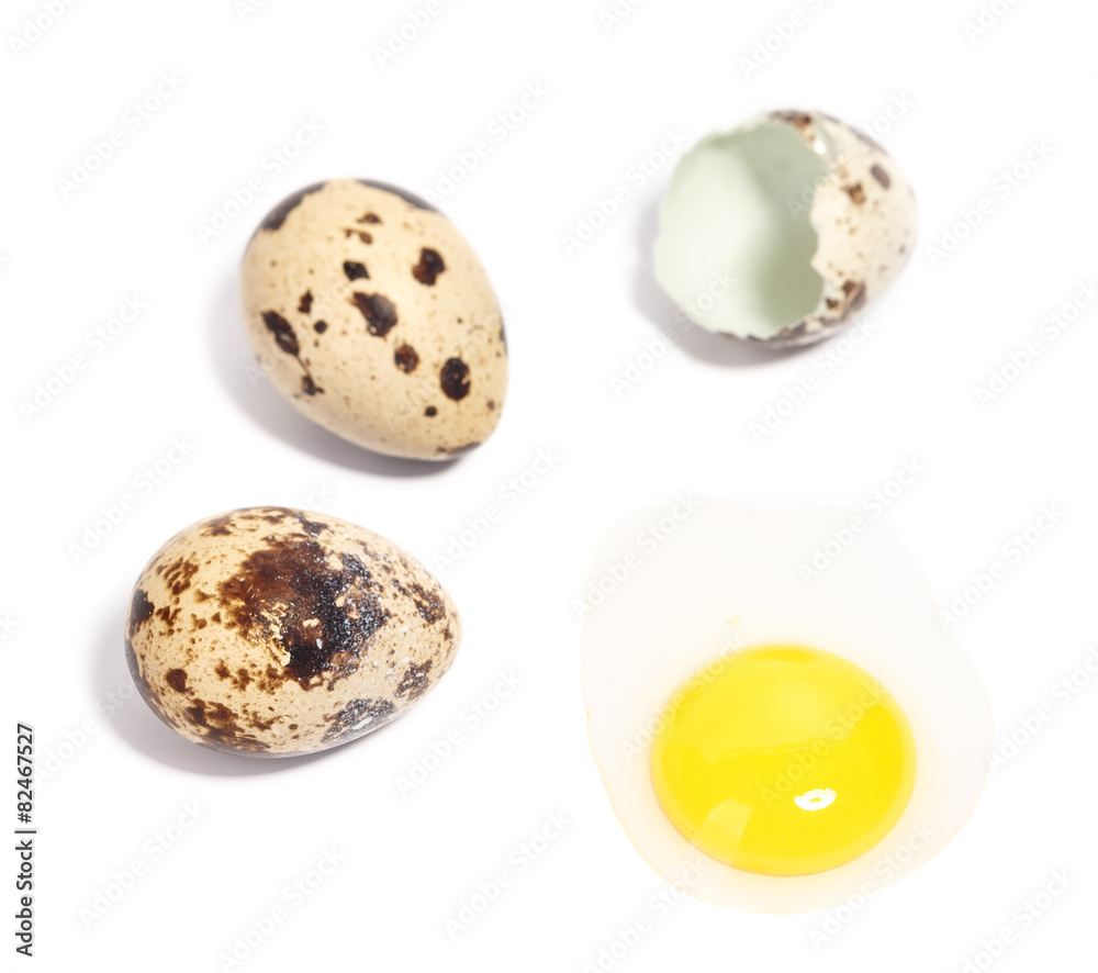 Obraz premium quail eggs