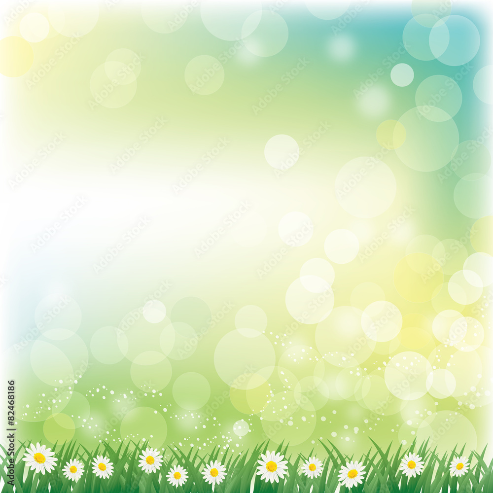 daisies background