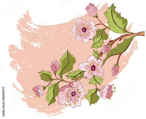 Fototapeta Naklejka Na Ścianę i Meble -  Colored Sketch of Sakura Branch