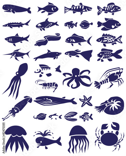 fish and marine reptiles icons on white