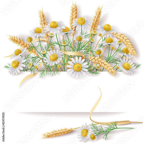 Banner with Wild Chamomile  and Wheat EarsBunch.
