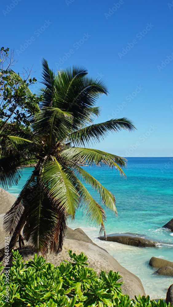 Obraz premium tropical coast