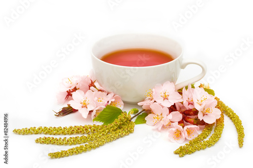 tea Sakura birch