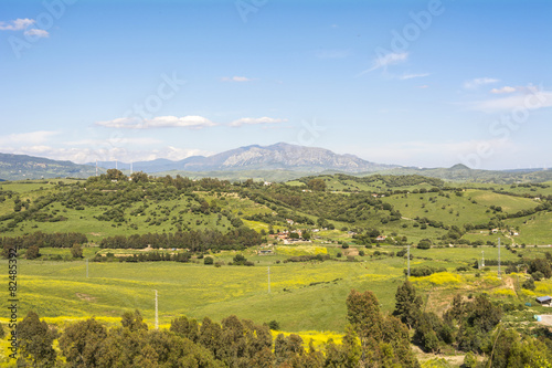 Natural landscape  valley