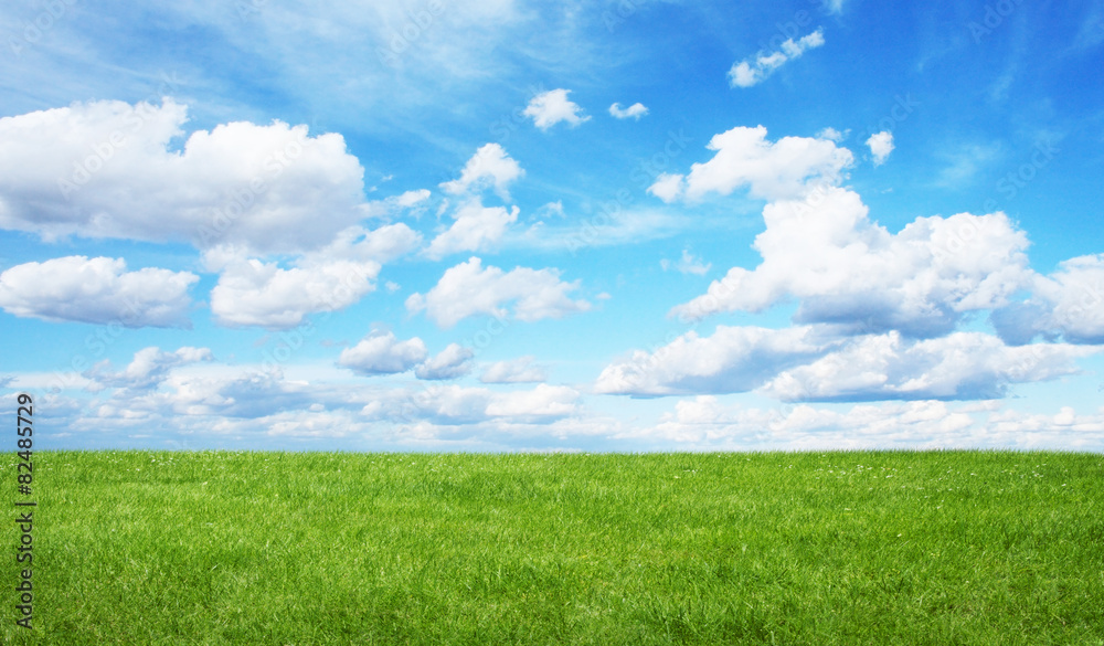 Green field and blue sky Green field and blue sky