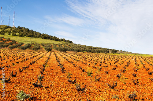 Obraz w ramie countryside