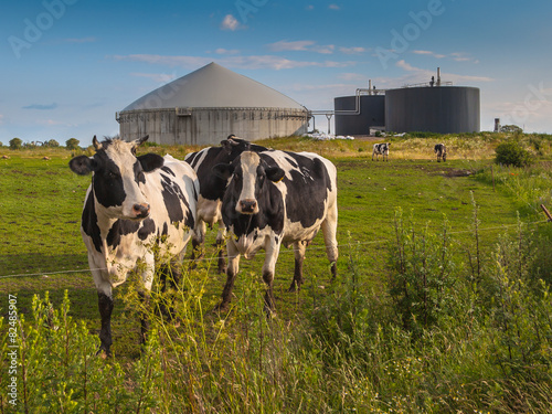 Biogas plant on a farm photo