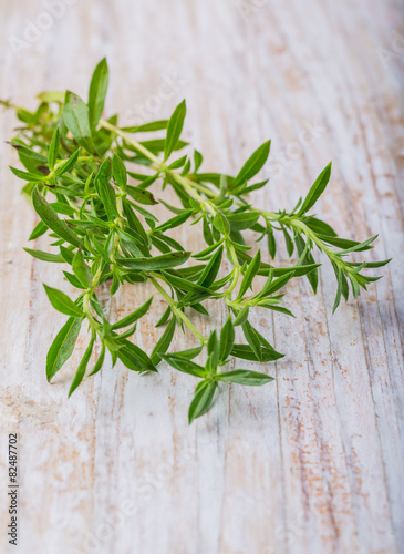 Branch of fresh savory