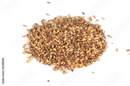 malt grains