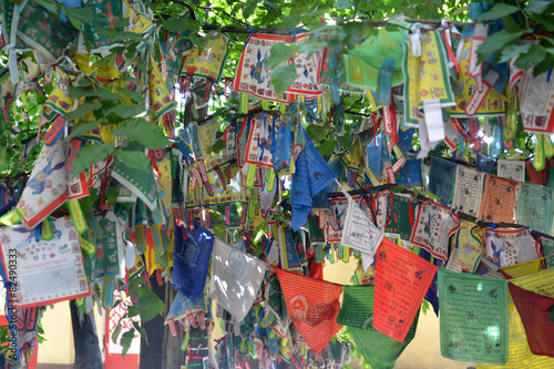 Hiymorin, color Buddhist tags with a prayer hang on a tree photo
