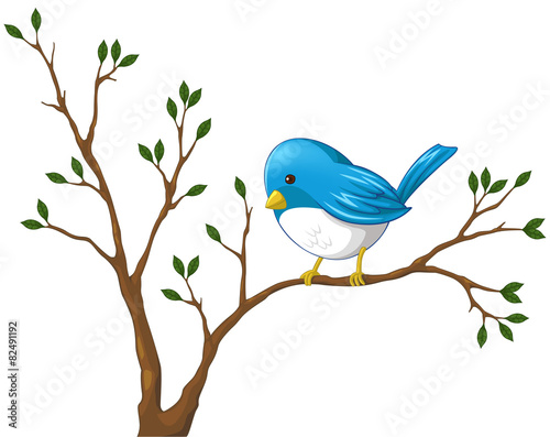 Cute little blue bird on the branch of the tree