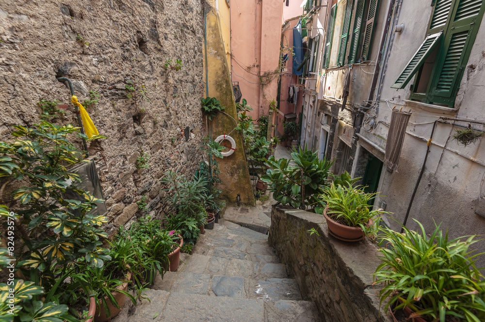 Street in the seaside town in the National Park of Cinque Terre,