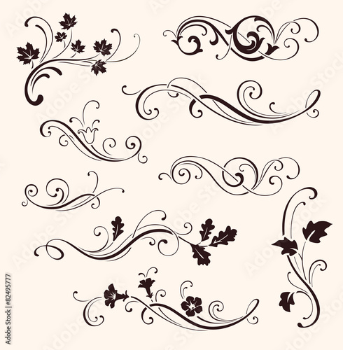 Set of calligraphic floral elements