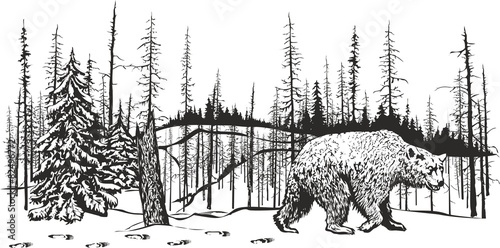 Bear left a den.
