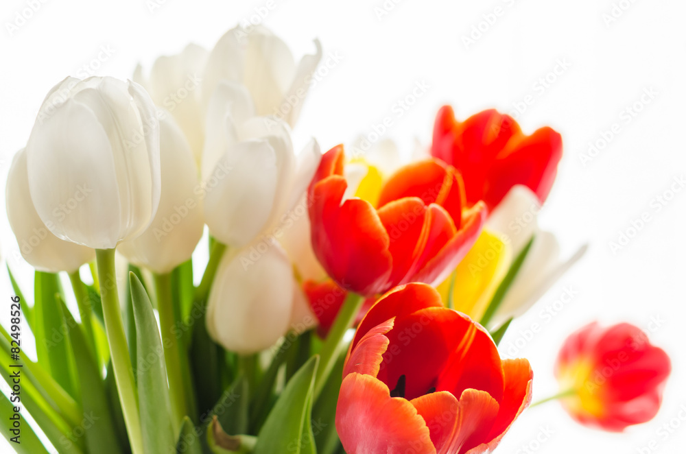 Bouquet of colorful blurry spring tulips on white background Bouquet of colorful blurry spring tulips on white background