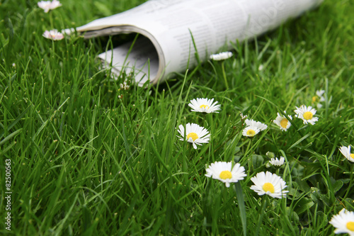 Zeitung Journalismus  photo