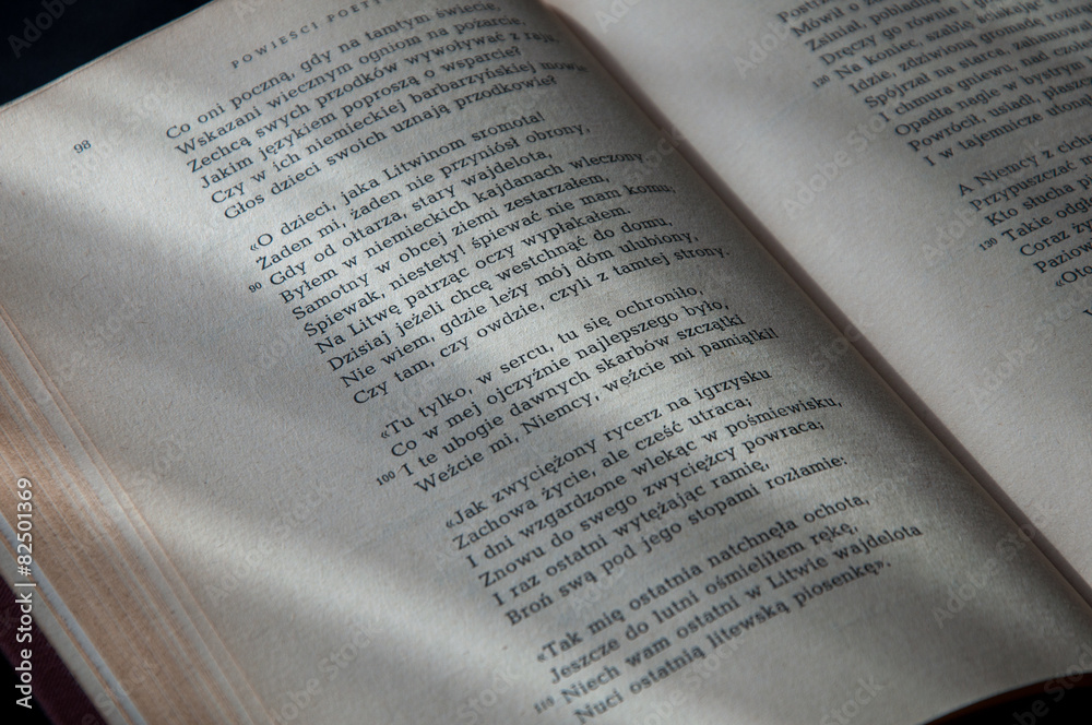 Fototapeta premium Książki