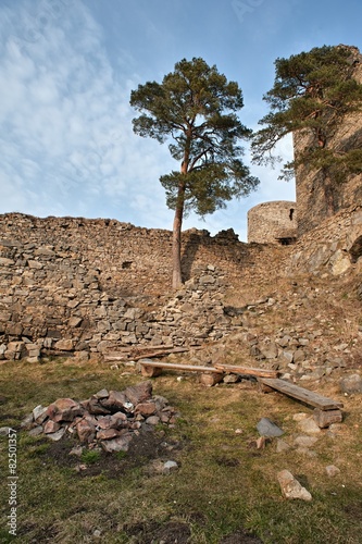 Ruins of the old castle photo