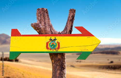 Bolivia Flag wooden sign with dry background photo