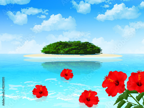 ハイビスカス　海　背景