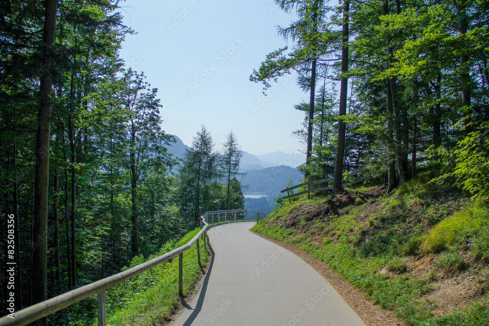 Fototapeta premium paved road in the mountains
