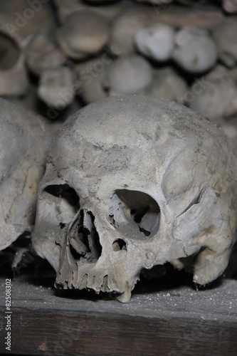 skull in the crypt © Георгий Лыкин