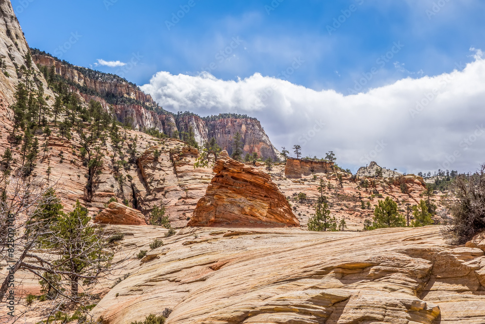Fototapeta premium Zion Canyon National Park Utah