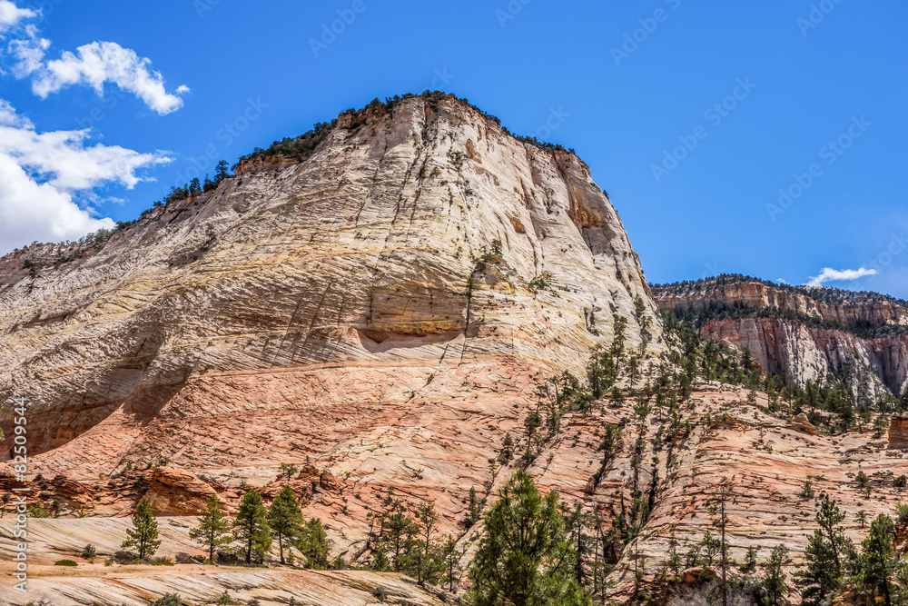 Fototapeta premium Zion Canyon National Park Utah