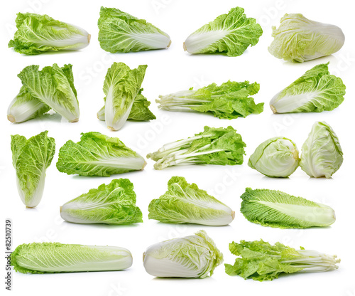 fresh chinese cabbage and lettuce on white background