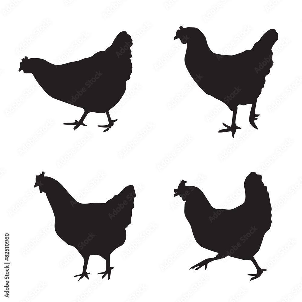 Fototapeta premium various silhouettes of chickens