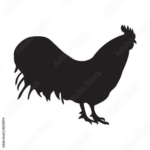 silhouette of black cock