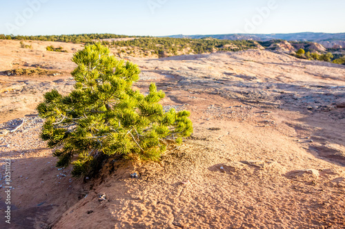 Navajo National Monument canyons photo