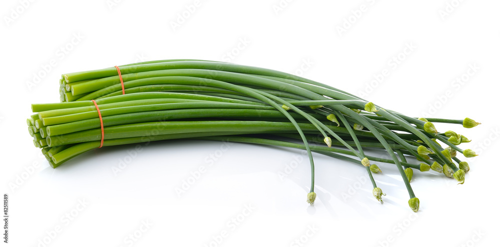 Green Onion on white background Green Onion on white background