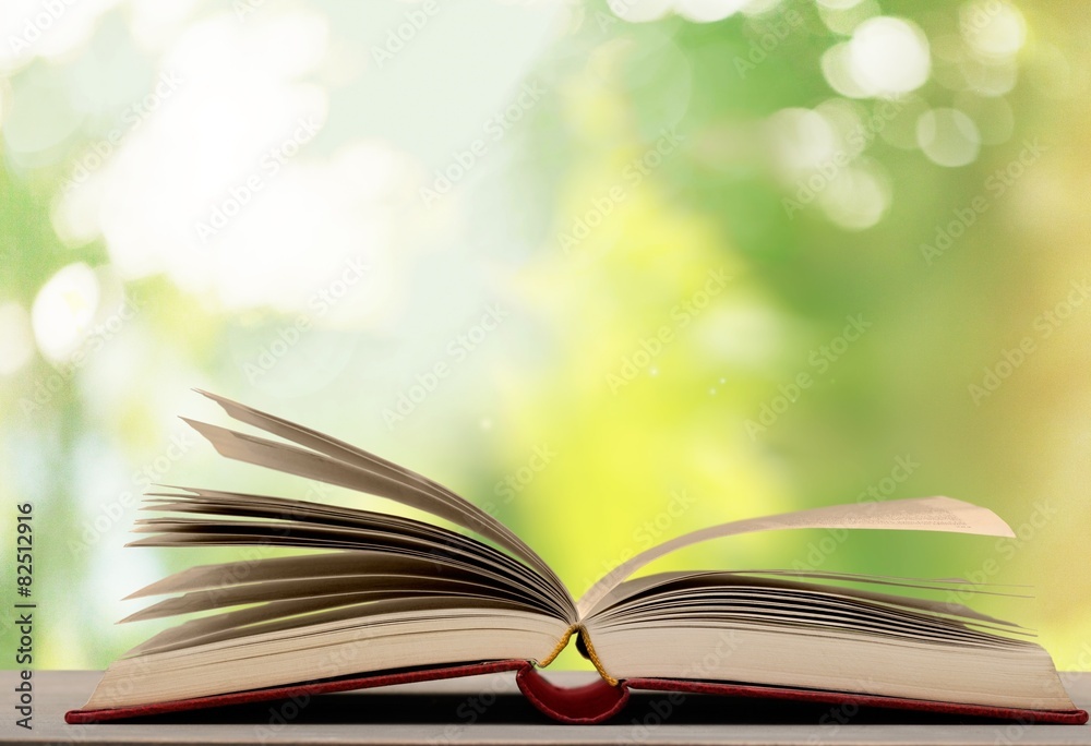 Above. Close up on open book pages Above. Close up on open book pages