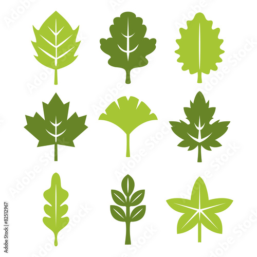 Symmetric Leaf Silhouette Set