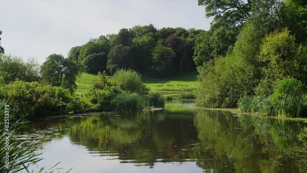 Medium shot of field and trees near tranquil lake / Stourhead, England, United Kingdom Medium shot of field and trees near tranquil lake / Stourhead, England, United Kingdom