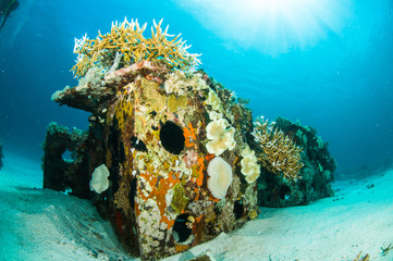 Foto auf Acrylglas Tauchen scuba diving diver shipwreck kapoposang indonesia underwater  © fenkieandreas