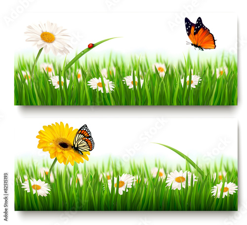 Fototapeta Naklejka Na Ścianę i Meble -  Summer nature banners with colorful flowers and butterfly. Vecto