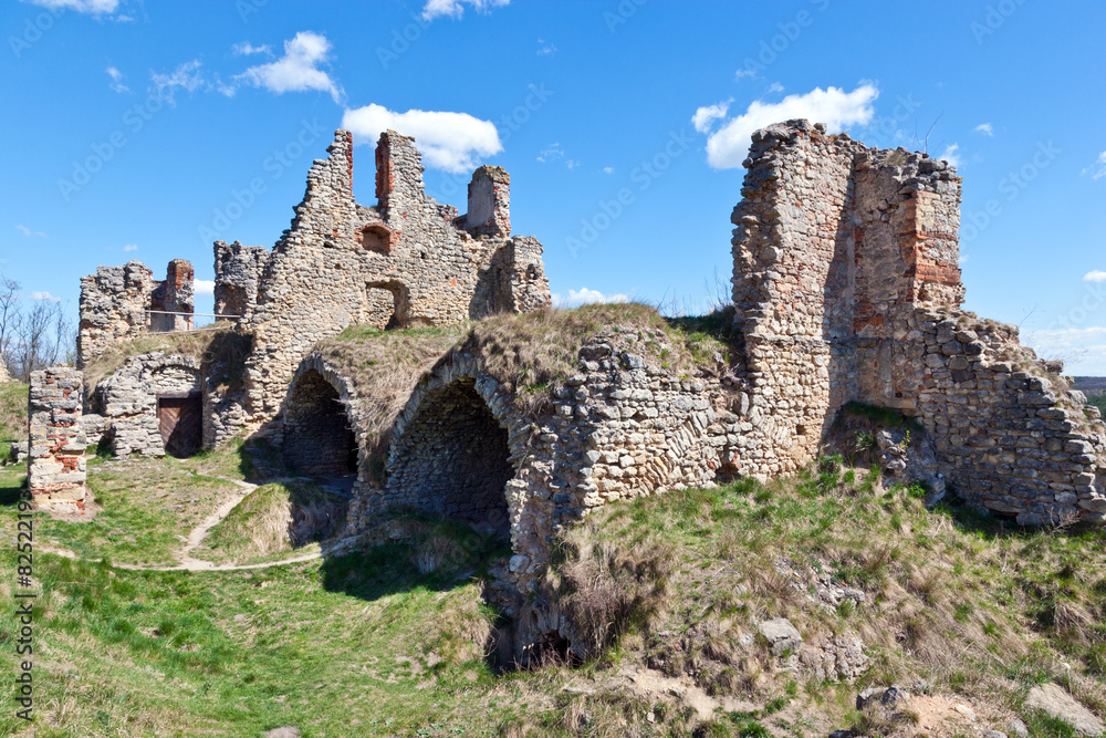 Ruins of Zviretice castle, Czech republic, Czech republic
