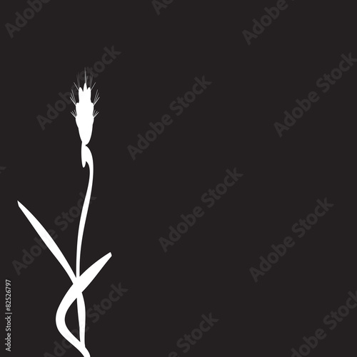Vector silhouettes of flowers.