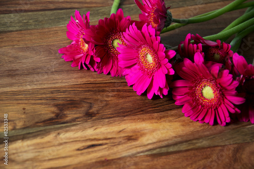 Gerbera