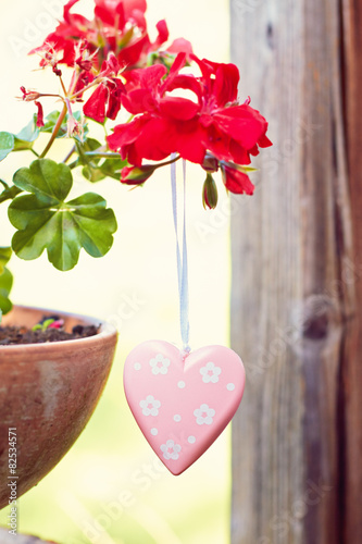 Fototapeta Naklejka Na Ścianę i Meble -  nature greeting card background