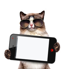 Cat holding a blank smartphone.