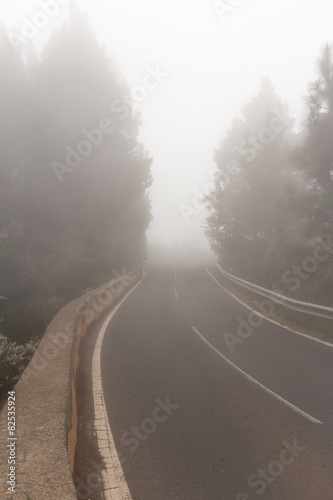 Empty road / street in thick fog