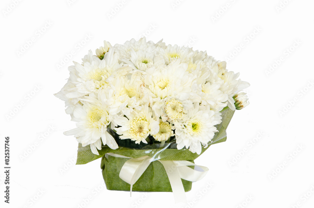 White flower with isolated background