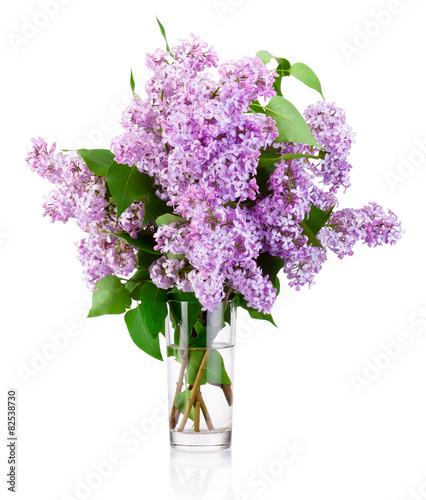 Branch of a lilac in glass vase isolated on white background
