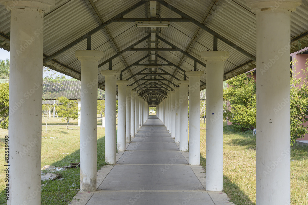 Covered walkway in the park