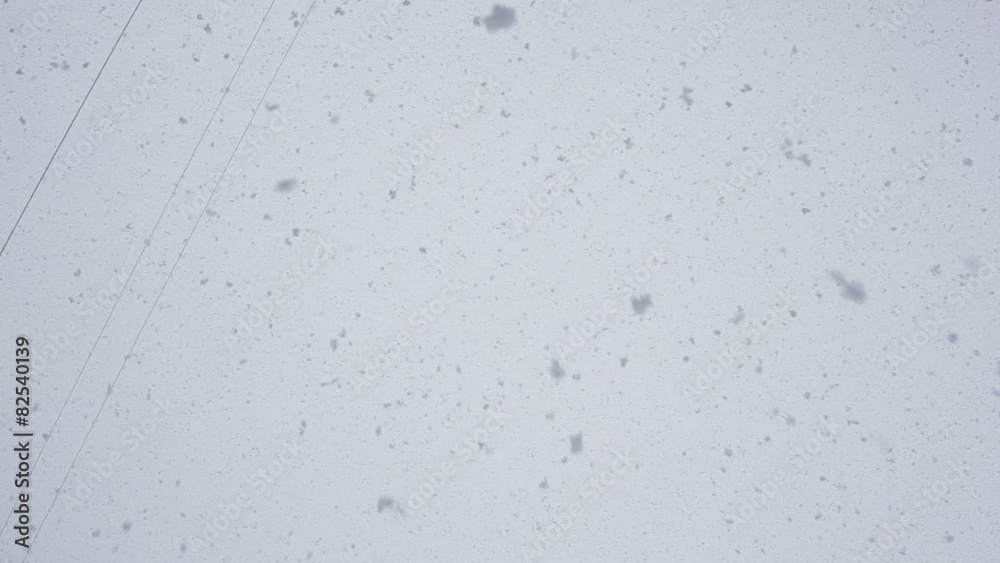 The large flakes of snow fall down.