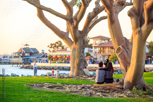 San Diego Waterfront Public Park, Marina and the San Diego Skyli